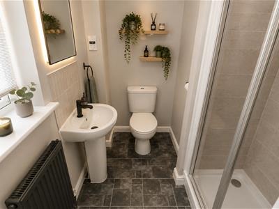 Picture 36